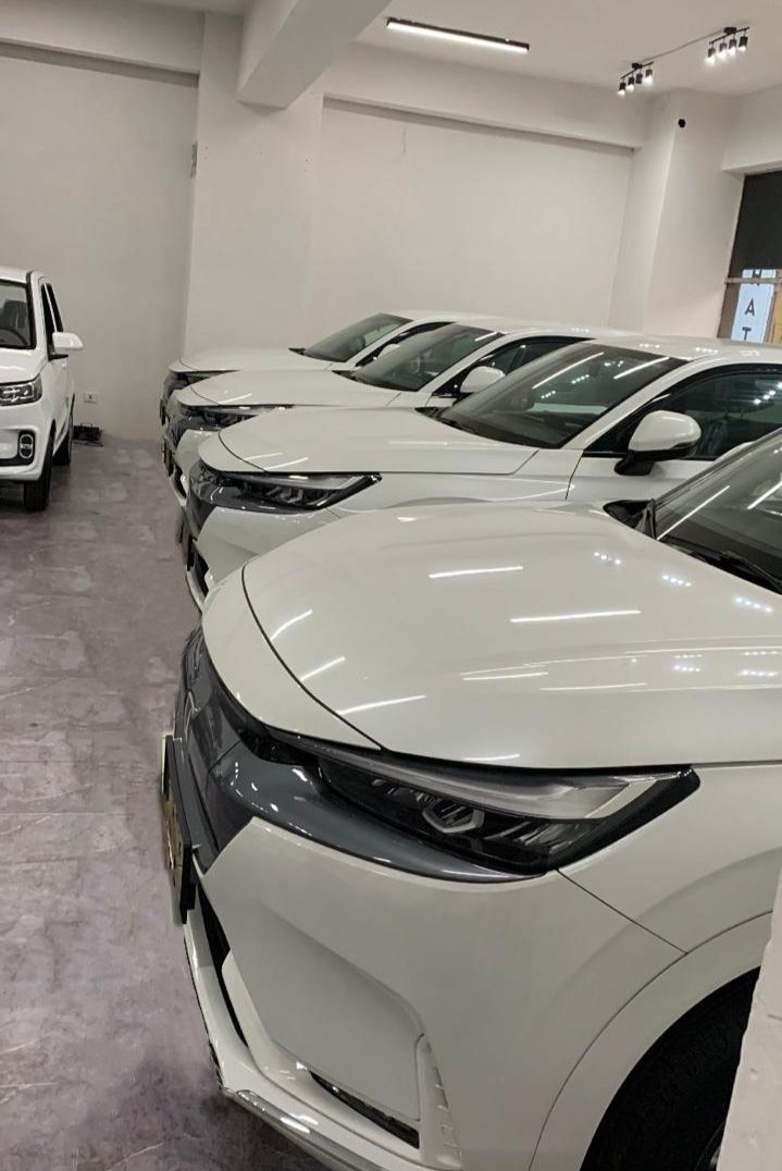 CARROS ELECTRICOS- A MOVILIDADE ECOLOGICA AQUI NA BLULORY!